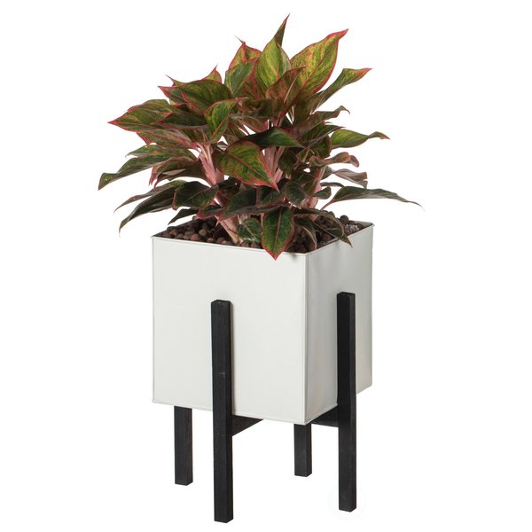 Vintiquewise Indoor and Outdoor White Iron Planting Box with Black Wooden Frame, Large Planter QI004170.L